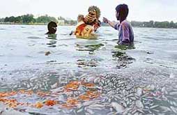 Devotees are surrounded by shoals of dead fish as they attempt to push an idol of Lord Ganesh into the Kankaria Lake in Ahmedabad on Sunday. Some 2,000 idols were immersed in the lake. The immersion of the idols combined with recent weather has, according to local meteorologists, brought about a decline in the levels of oxygen in the lake leading to the deaths of the fish.