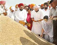 The Chief Minister, Capt Amarinder Singh, launches paddy procurement in the Khanna grain market on Monday.
