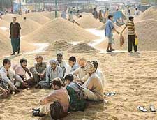 Paddy continues to pile up in Khanna Mandi because of slow procurement of paddy by government agencies