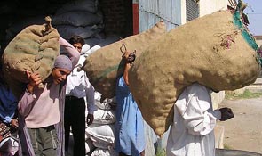 Onions from Pakistan being carried in bags from the godown of Amritsar Railway Station on Saturday.