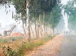 A stone crusher besides a road in Mewat district.