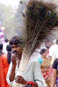 A street vendor sells peacock feathers at a rural fair in Balur, 25 km north of Kolkata