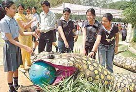 A science exhibition was held at Tender Heart School, Sector 33, Chandigarh