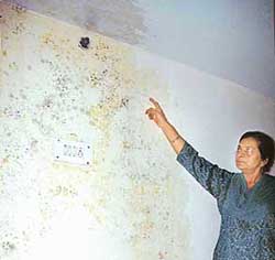 Ms S. Khara shows a damp wall inside her house.