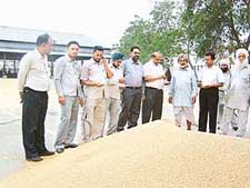 Private flour mill owners strike a deal while inspecting the wheat brought by farmers to the Khanna grain market on Sunday