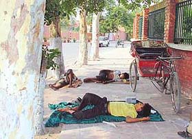 Migrant workers enjoy siesta along the Club Road in Ludhiana