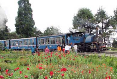 The toy train on its way to Darjeeling at the famous Batasia loop at Darjeeling Hill Station on Sunday