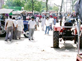 A majority of traders in the market are farmers