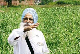 WHAT ABOUT ME? Gurcharan Singh points to his 1-acre field on the Jalandhar-Amritsar highway