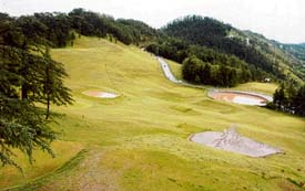 A view of the Naldehra Golf Course pleases the eye