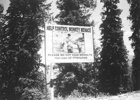 A billboard on the Shimla-Sarahan road cautions tourists against feeding monkeys