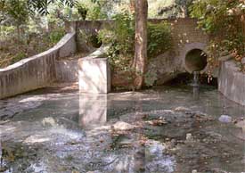 Sullage from a stormwater drain makes its way into the Leisure Valley stream, polluting it across its stretch