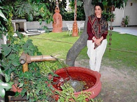 GREEN FINGERS: Harmeet Kaur with her Tsukubai