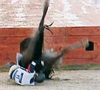 South Korean eventer Kim Hyung-chil died following an equestrian accident at the Asian Games