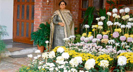 Gunita Gill cultivates varieties of chrysanthemum in her little garden