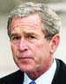 George W. Bush 
