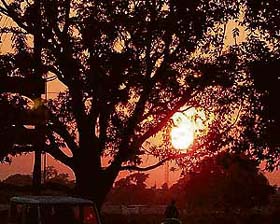 Final moments of a sunny Monday captured by Tribune lensman Vicky Gharu