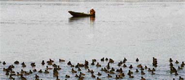 Frozen calm: A Kashmiri fisherman works near a frozen portion of the Dal Lake in Srinagar