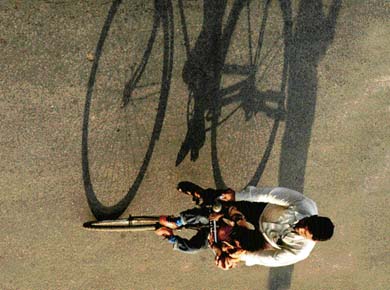 As the sun moves towards the Tropic of Cancer and the days get longer and warmer, this father-son duo gladly pedal their way home under the February sun with shadows for company.
