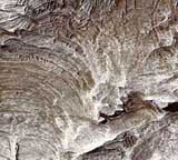 An undated photo released by NASA shows the surface of Mars displaying the effects of ancient underground fluids