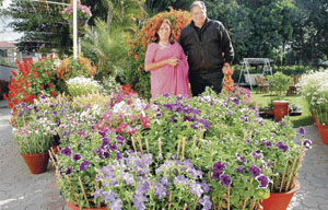 The Marriya couple shares relaxing moments with the flowers in the front garden