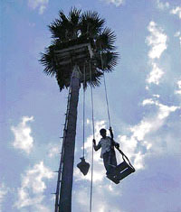 Salim Hossen Gaus, a Bangladesh citizen, uses a home-made lift to reach his tree house atop a palm tree in Jessore. Tired of trying to get a bit of peace and quiet in one of the world’s most densely populated countries, Salim has hit on the perfect solution. Each day, the carpenter winches himself 30 metres (100 ft) in a precarious home-made pulley to a small wooden platform, which he calls his home, atop a palm tree. Interestingly, an anti-corruption drive by Bangladesh’s army-backed caretaker government is keeping buyers at bay in the country’s real estate sector. Expat Bangladeshis, a major segment of real estate buyers, have also stopped investing in the sector.