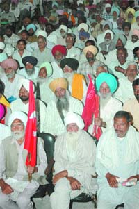 Activists of Punjab CPM attend a state-level convention at Desh Bhagat Yadgar Hall in Jalandhar on Tuesday.