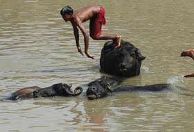 A kid gears up to take a plunge in a canal in Amritsar