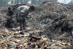 A ragpicker looks for iron in a garbage dump near Bhagtanwala grain market in Amritsar