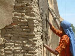 A lady plasters the wall of her house, made of Nanak Shahi bricks, in Amritsar