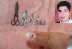 Amit Kumar (inset) with his miniature creations in Amritsar.