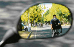VISUAL TREAT: The amaltas- lined road makes The perfect backdrop for a pretty picture on a sultry afternoon.