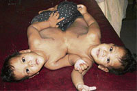 A file photo