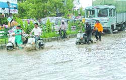 The problem is particularly severe around the bus stand.