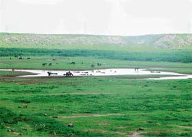 The dried up Badkhal Lake in Faridabad district