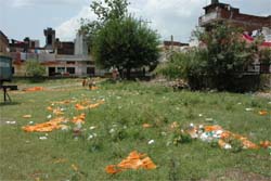 Rally aftermath: Buntings and plastic glasses lying scattered in a park in Amritsar.