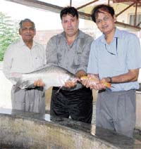 Sultan Singh (centre) with Dr Jagdish Markanday at the former’s fish farm in Butana village, near Karnal