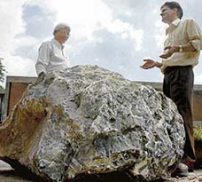 The 1,200 million-year-old limestone rock from Morni will form part of 51 rock chunks to be displayed at Government Museums open air mother earth gallery in Chandigarh. 