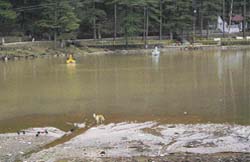 Sacred Dal Lake, near Dharamsala, has become the dumping ground for plastics and waste materials