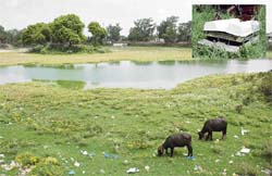 Haali Park was once a popular destination for picnickers from Panipat and nearby areas. Water has nearly dried up in the lake