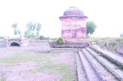 A view of historic temple at Pulkanjari village.
