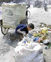 Innocence lost: A ragpicker rummages through garbage in Panipat.