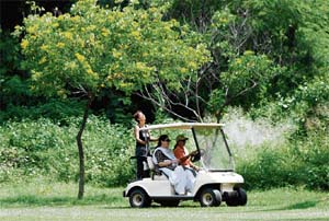 Serene surroundings, friends and a favourite sport — A heady way to start the day.