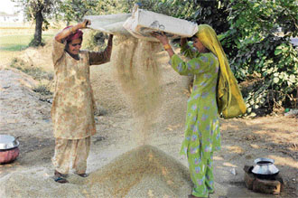 Two women winnowing waste paddy