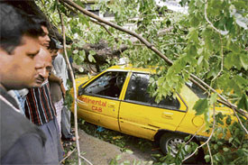 People watch a tree that had fallen on a taxi during a storm in Dhaka on Friday.