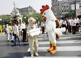 Members of People for the Ethical Treatment of Animals (PETA), dressed as a sheep and a rooster, hold placards to promote vegetarianism in Mumbai on Thursday.