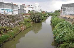 Visual assault: Houses constructed along the Sukhna Choe