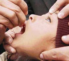 A child being administered polio drops in Amritsar on Sunday.
