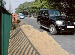 Heaps of sand that have been dumped on Dakshin Marg in Chandigarh.
