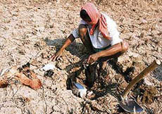 A poultry owner buries his dead chickens in a paddy field in Margram village north of city of Kolkata.